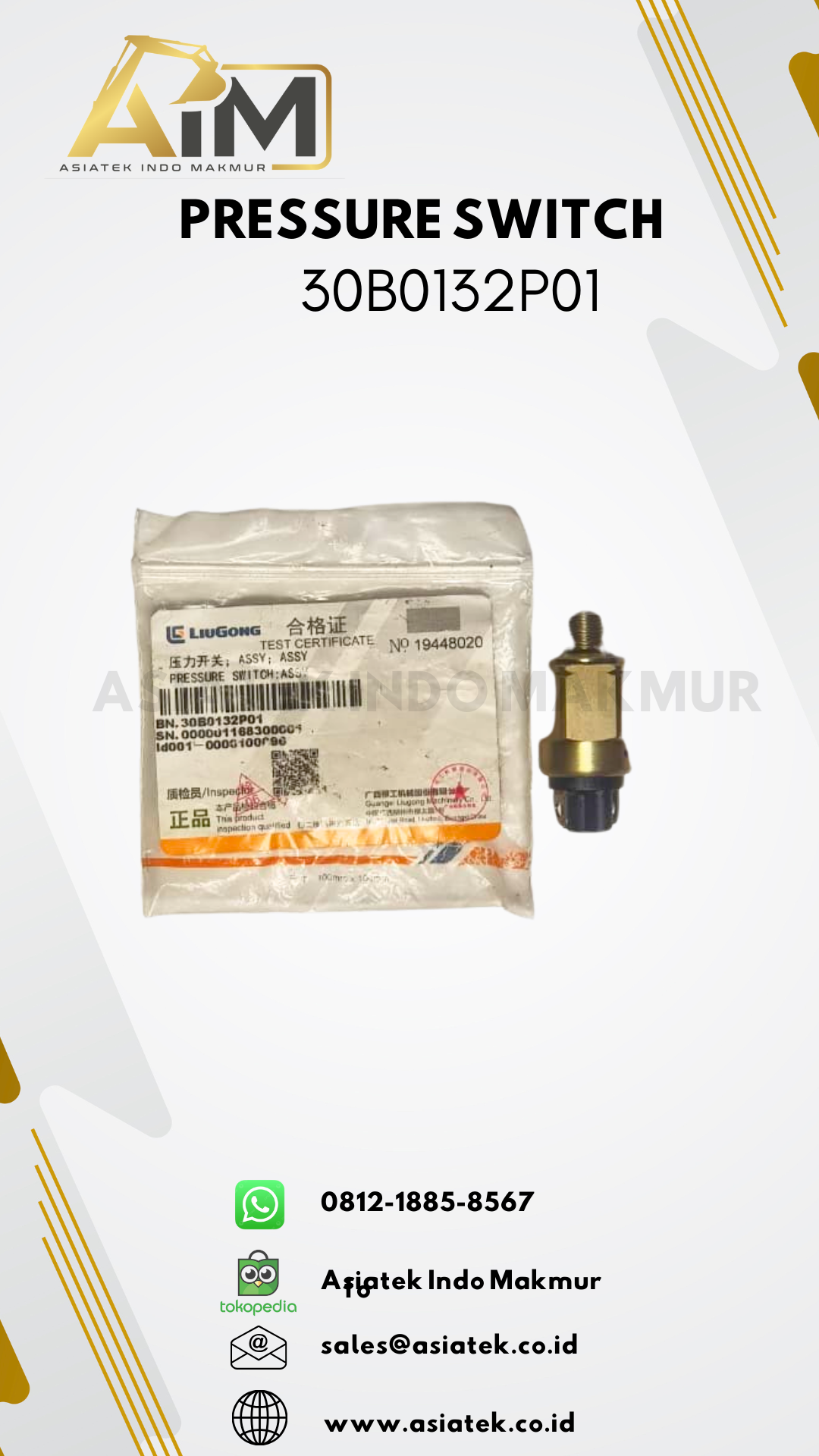 PRESSURE SWITCH (30B0132P01)